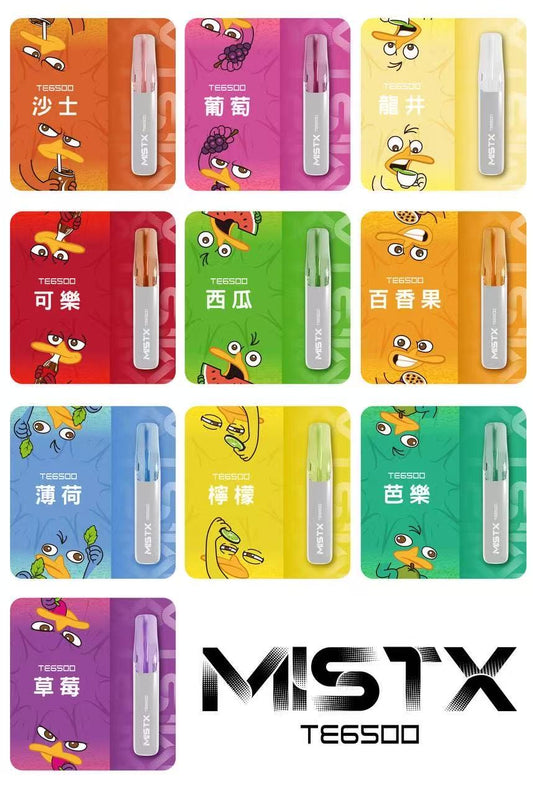 MIST X 鴨嘴獸 6500口拋棄式電子煙/一次性電子煙-台灣現貨